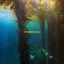 Cover Otherworld