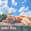 Cover Good Day