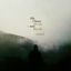 Cover Always Mist: Revisited