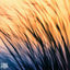 Cover Lost in motion
