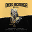 Cover Dios Bendiga (Remix)