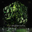 Cover Permutations, Vol.9