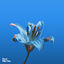 Cover Miss You