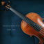 Cover Violin Covers, Pt. IX
