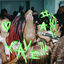 Cover rave (nc)