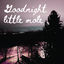 Cover Goodnight little mole