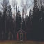 Cover First Love