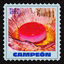 Cover Campeón