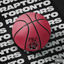 Cover Toronto Raptors