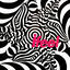 Cover Chesters Groove EP