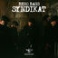Cover Syndikat