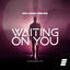 Cover Waiting on You (Eurodance Mix)