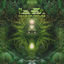 Cover Voice of Nature