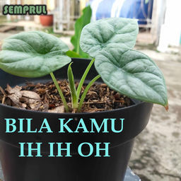''