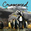 Cover Crammed Walks With The Animals