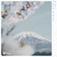 Cover tokyo winter