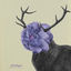 Cover Bepolar