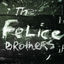 Cover The Felice Brothers