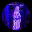Cover Haunted