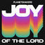Cover Joy Of The Lord (Live)