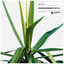Cover Crossing Borders - EP Pt. 2