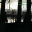 Cover Sowiesoso