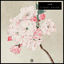 Cover Floral Decor