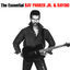 Cover The Essential Ray Parker Jr & Raydio