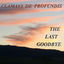 Cover The Last Goodbye
