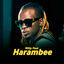 Cover Harambee