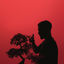 Cover OG SAN I