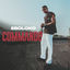 Cover Commando
