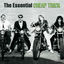Cover The Essential Cheap Trick