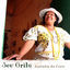 Cover Seu Grito