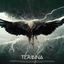 Cover Take Flight