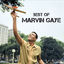 Cover Best Of