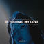 Cover If You Had My Love