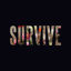 Cover Survive - EP