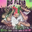Cover Big Flexa