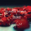 Cover Hafıza
