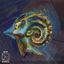 Cover Echo
