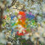 Cover Teenage Birdsong
