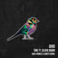 Cover Bird (Kiko Franco & Santti Remix)
