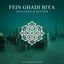 Cover Fein Ghadi Biya