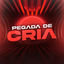 Cover Pegada de Cria