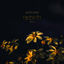 Cover re:birth, Vol. 2