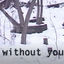 Cover Without You