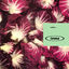 Cover Radiccio