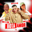 Cover Bota amor (Coloca Nela)