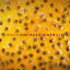 Cover Passionfruit